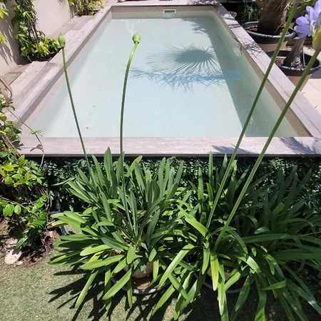 Larimar Etablissement- 200 M De La * Sainte-Maxime