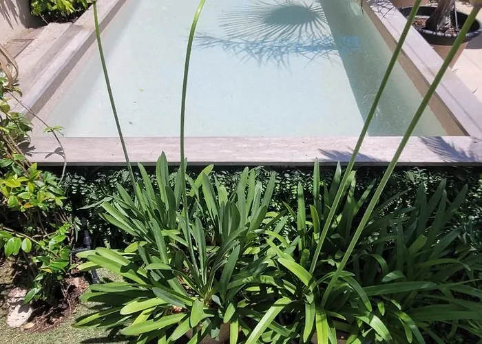 Larimar Etablissement- 200 M De La * Sainte-Maxime